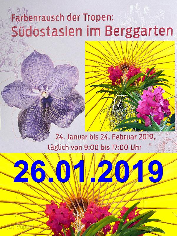 2019/20190126 Berggarten Farbenrausch der Tropen/index.html